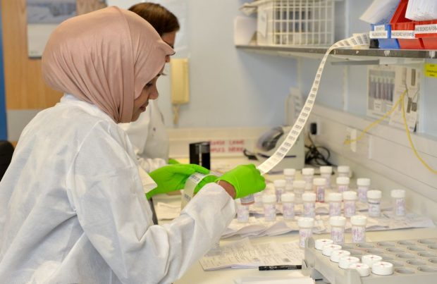 A laboratory worker handling screening samples