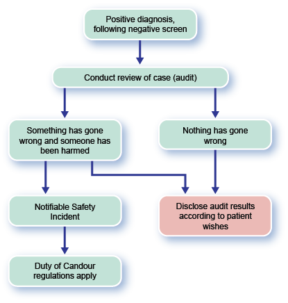 Safety Incident Rci Flowchart