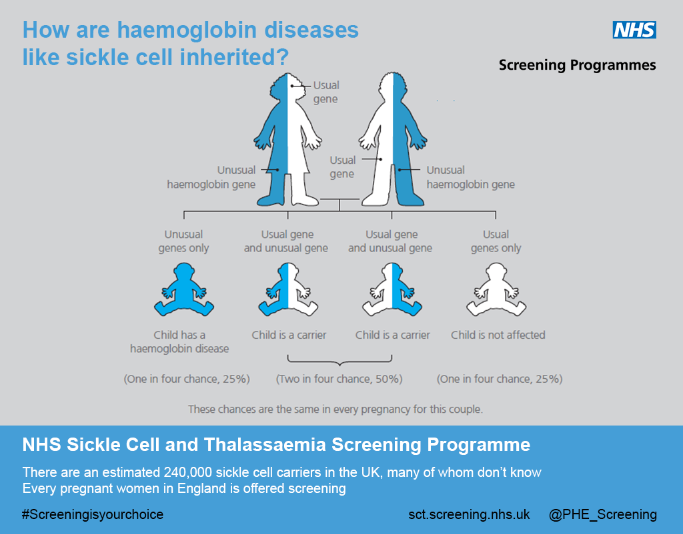 A diagram showing how Sickle cell is inherited. When two parents are both carriers, there's a 25% chance the baby will have a haemoglobin disease, 50% chance the baby will be a carrier and 25% chance the baby will not be affected at all.