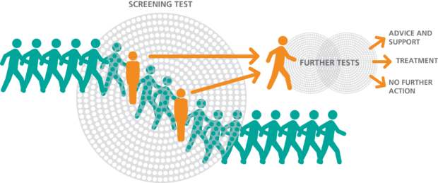 Screening explained in a diagram: A few people will test positive in screening. They will have further test and either get further advice and support, further treatment, or no further action will be needed.