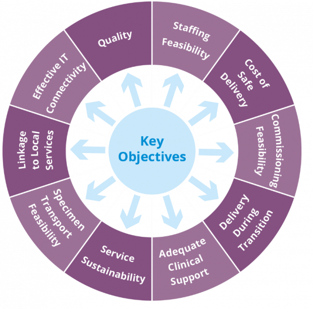 Diagram showing the 10 objectives considered and weighted by options appraisal.