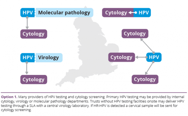 Option 1: Many providers of HPV testing and cytology screening. Primary HPV testing may be provided by internal cytology, virology or molecular pathology departments. Trusts without HPV testing facilities onsite may deliver HPV testing through a SLA with a central virology laboratory. If HR-HPV is detected a cervical sample will be sent for cytology screening.