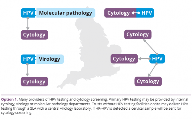 hpv screen nhs