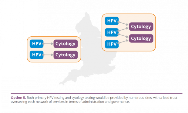 Option 5: Both primary HPV testing and cytology testing would be provided by numerous sites, with a lead trust overseeing each network of services in terms of administration and governance.