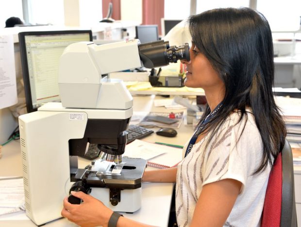 A woman looking into a microscope