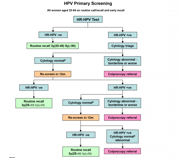 HPV primary screening pathway diagram