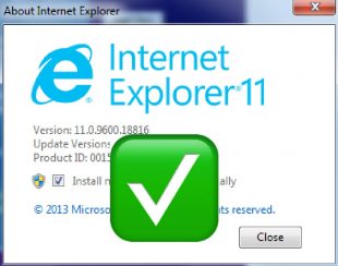 Internet Explorer 11 screenshot with tick