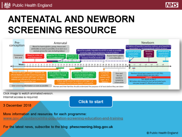 A screen grab of the new online version of PHE's resource cards. The words at the top say 'antenatal and newborn screening resource.' There is a timeline of the various screening tests and when they should be carried out. In smaller text near the bottom it says 'Click image to watch animated version' and 'click to start' inside a blue button.