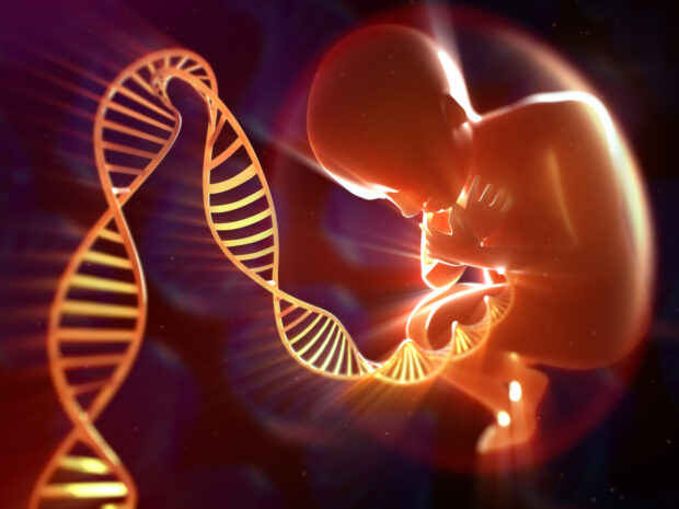 Unborn baby showing a strand of DNA coming out from it.