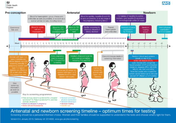 Timeline illustration detailing all the antenatal and newborn screening tests offered to pregnant women and newborn babies. In chronological order they are: diabetic eye screening for pregnant women with diabetes, antenatal sickle cell and thalassaemia screening, infectious diseases in pregnancy screening, fetal anomaly screening, newborn and infant physical examination, newborn blood spot screening and newborn hearing screening