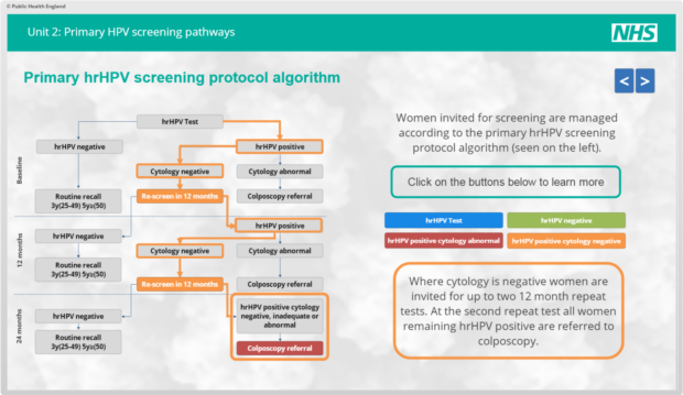 A slide from the e-learning modules describing the primary high risk HPV screening protocol algorithm. This shows the pathway from high risk HPV test to routine recall or colposcopy referral