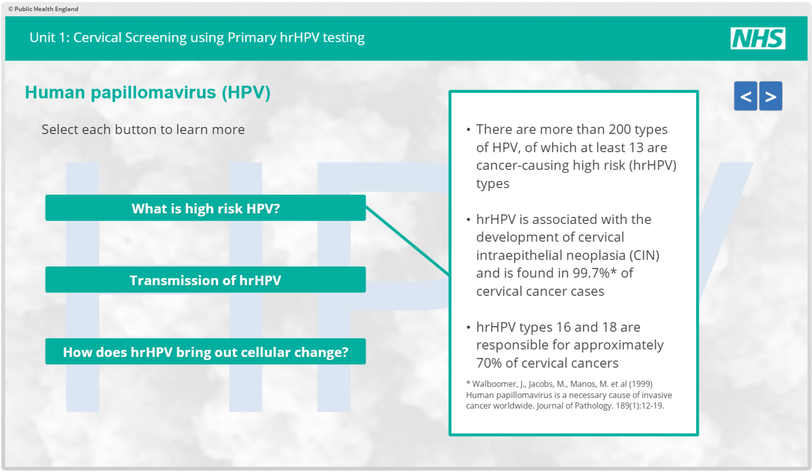 Hpv virus treatment nhs, Human papillomavirus or HPV vierme de 10 cm, Hpv high risk nhs
