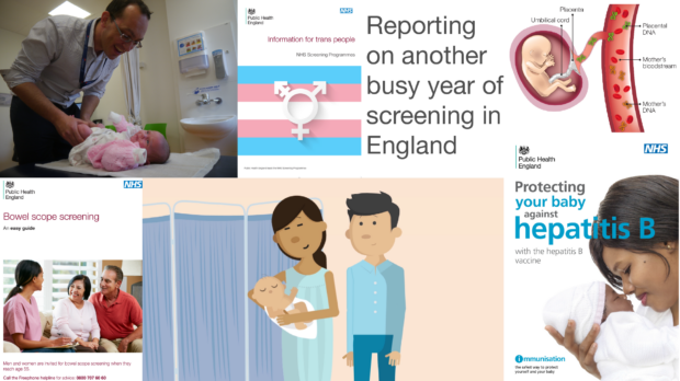 Illustration with the headline 'Reporting on another busy year of screening in England'. Illustration includes: image of a clinician carrying out hip element of the newborn and infant physical examination on a baby; the front cover of the PHE Screening information for trans people leaflet; a diagram showing a baby growing in the womb with labels to the umbilical cord, placenta and the mother's bloodstream with placental DNA and mother's DNA labelled; the front cover the PHE Screening easy guide to bowel scope screening, an image from the PHE Screening animation of antenatal and newborn screening; and a poster with the heading 'Protecting your baby against hepatitis B'