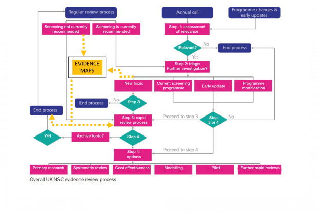 A flow chart of the UK NSC evidence review process