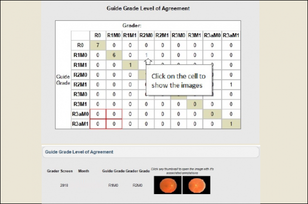 A chart shows the guide grade level of agreement - 2 photos of retinas are at the bottom.