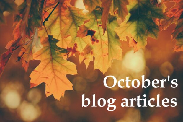 Autumn leaves in soft focus and the words October's blog articles