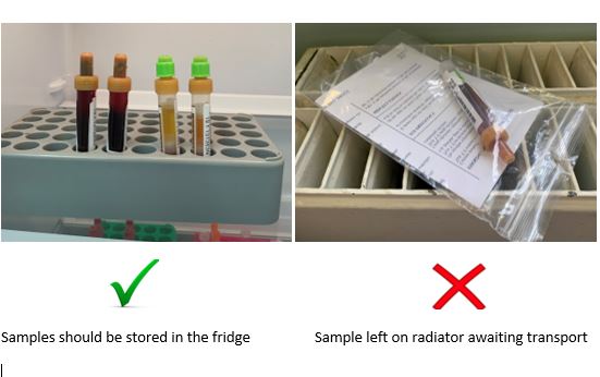 Sample in a fridge and sample on radiator