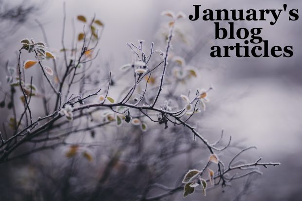 A frost-covered tree in soft focus with the words 'January's blog articles'