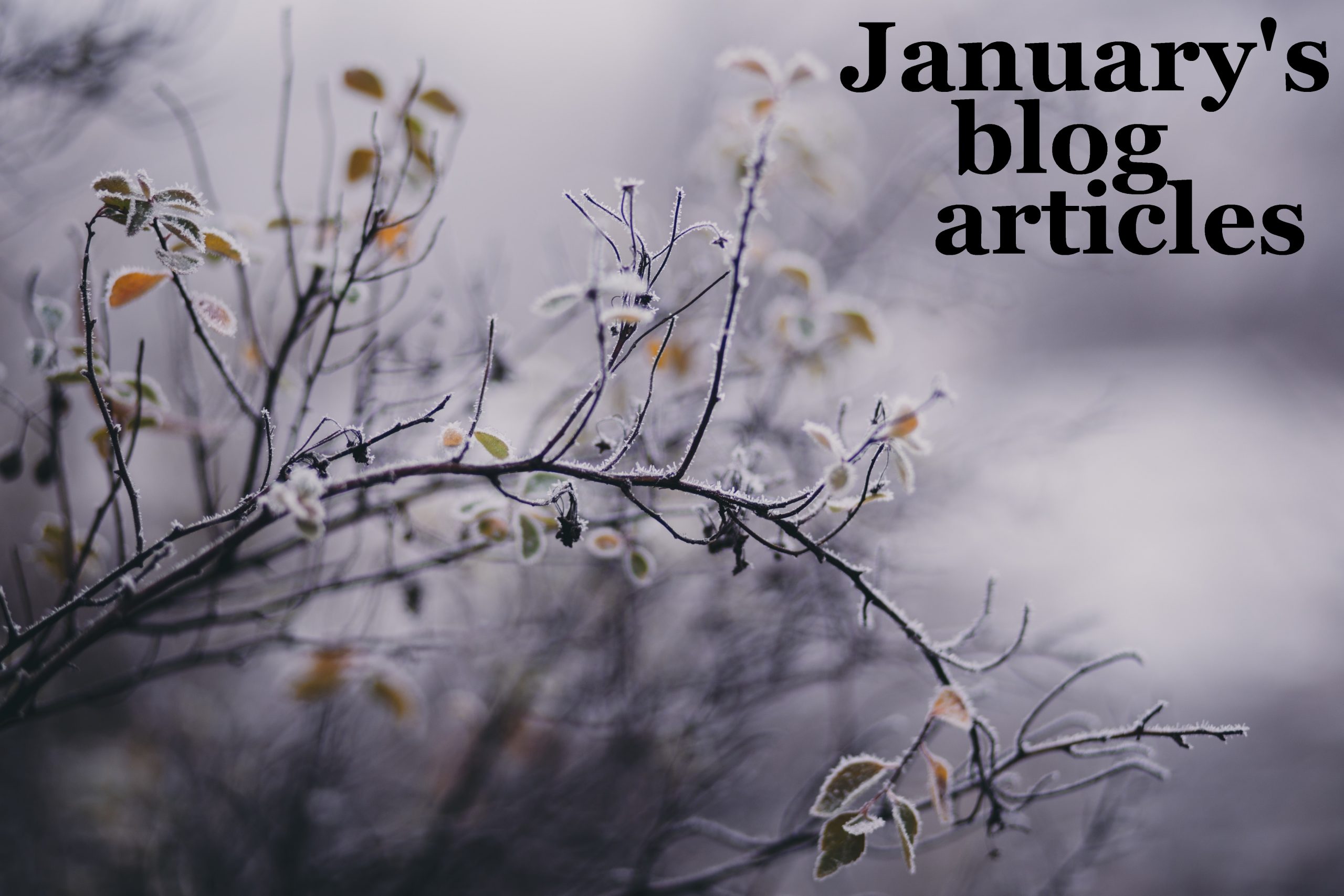 What we blogged about in January 2020 – PHE Screening