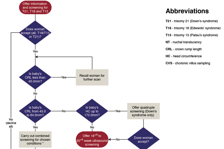 NHS fetal anomaly screening care pathways updated in more accessible