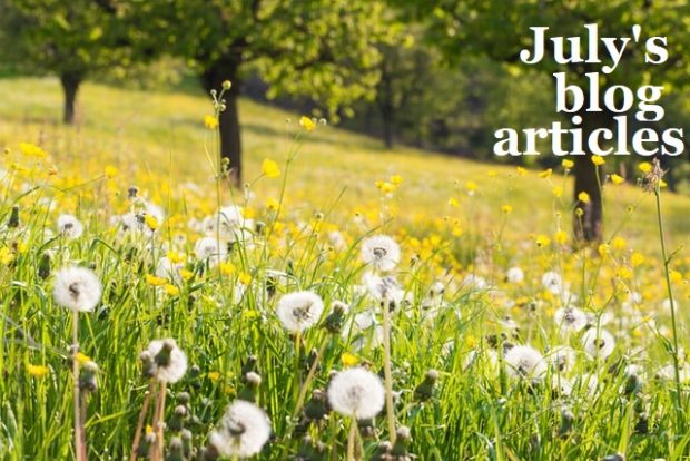 A bright summer field with the words 'July's blog articles'