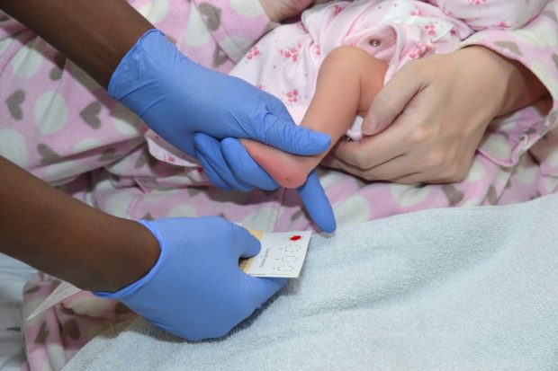 Sampole of blood being taken for newborn blood spot screening