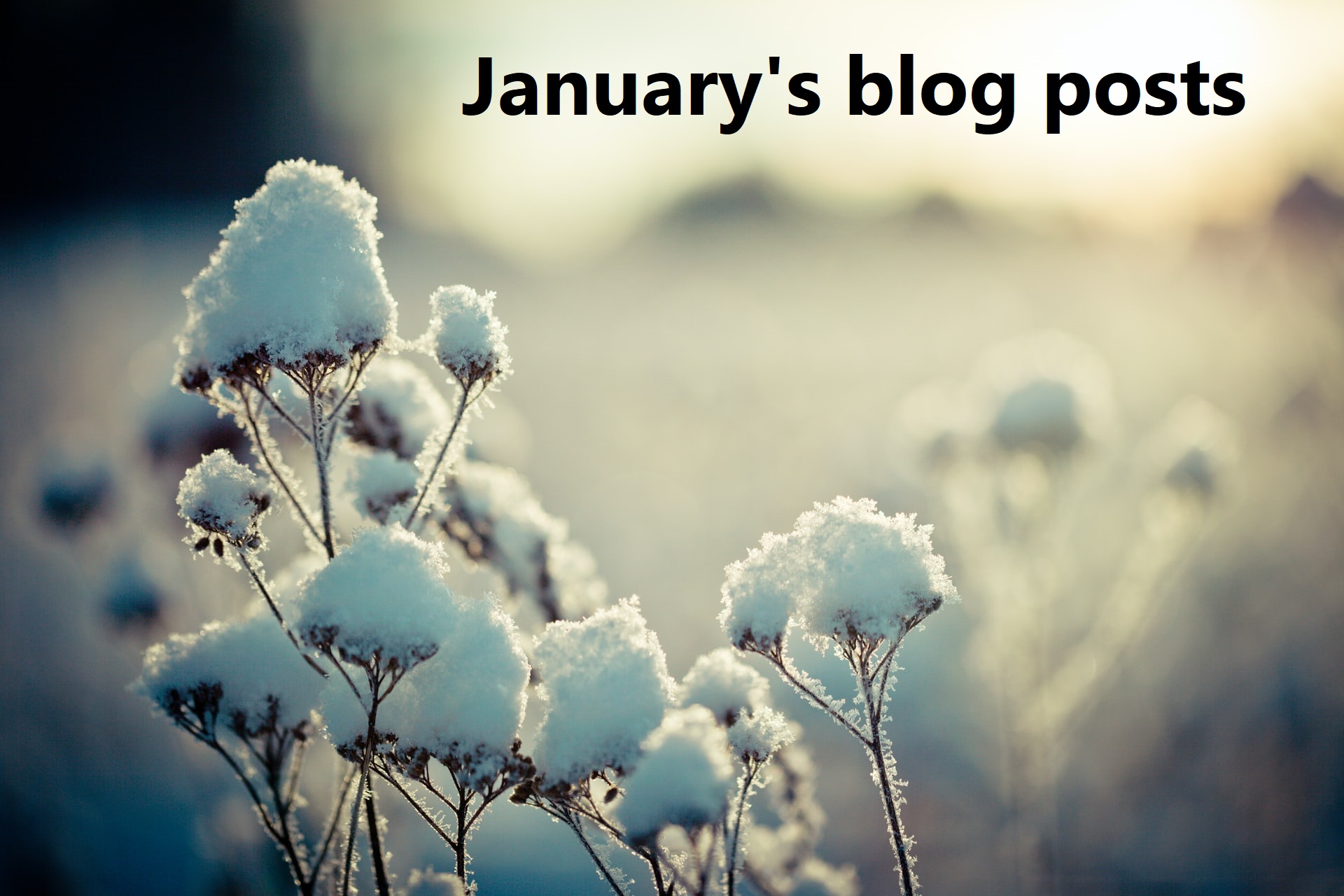 What we blogged about in January 2021 – PHE Screening